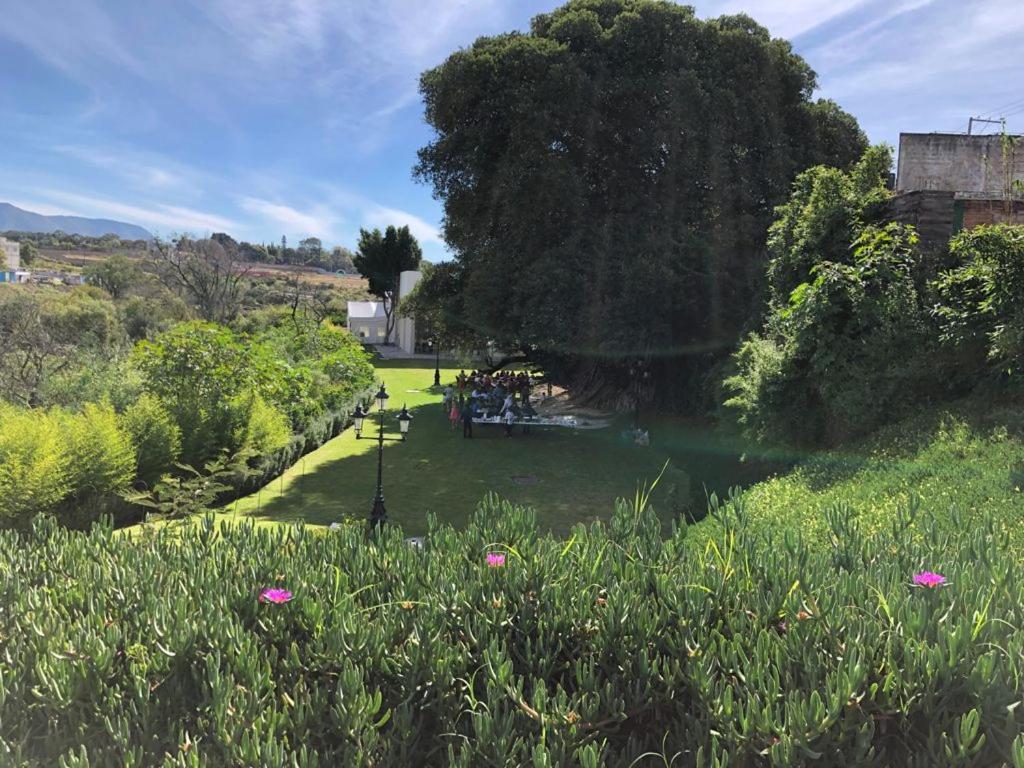 Bv Hotel Atlixco Dış mekan fotoğraf